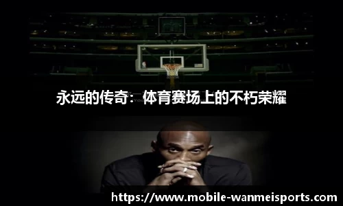 完美体育官网