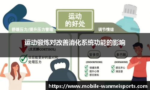运动锻炼对改善消化系统功能的影响
