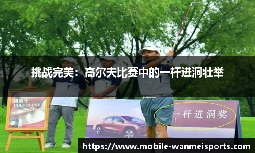 完美体育平台