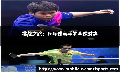 挑战之路：乒乓球高手的全球对决